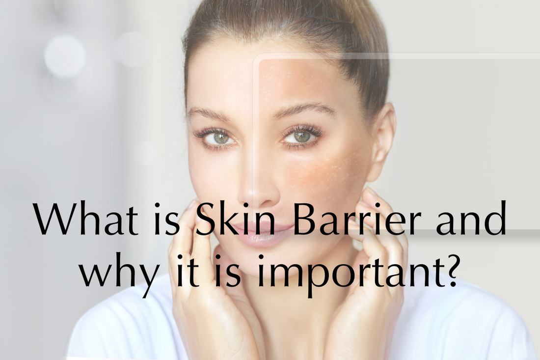 What is the Skin Barrier and Why is it Important to Strengthen It?